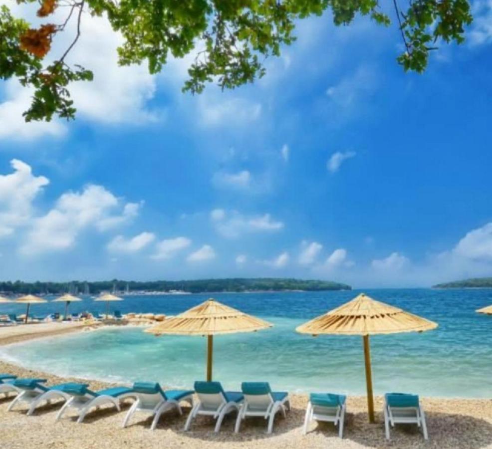 New!!! New Riva Luxury One - With Sunny Terrace & Big Garden Daire Poreč Dış mekan fotoğraf